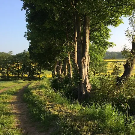 Rudding Gates